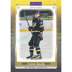2024/25 Goal Cards Maxa liga 1. série #SOK-10 Radim Šalda Parallel 1of40