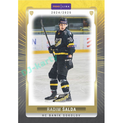 2024/25 Goal Cards Maxa liga 1. série #SOK-10 Radim Šalda Parallel 1of40