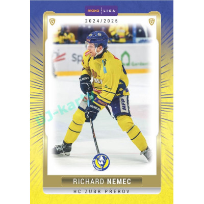 2024/25 Goal Cards Maxa liga 1. série #PRE-18 Richard Němec Parallel 1of15