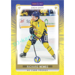 2024/25 Goal Cards Maxa liga 1. série #PRE-18 Richard Němec Parallel 1of40