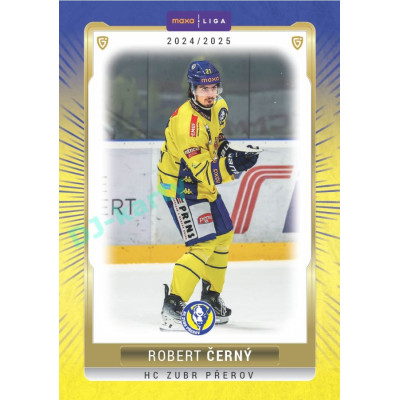 2024/25 Goal Cards Maxa liga 1. série #PRE-05 Robert Černý Parallel 1of15