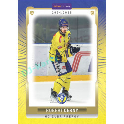 2024/25 Goal Cards Maxa liga 1. série #PRE-05 Robert Černý Parallel 1of40