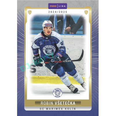 2024/25 Goal Cards Maxa liga 1. série #KOL-16 Robin Všetečka Parallel 1of15