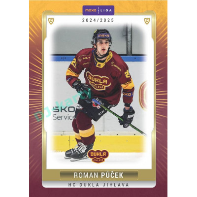 2024/25 Goal Cards Maxa liga 1. série #JIH-20 Roman Půček Parallel 1of20