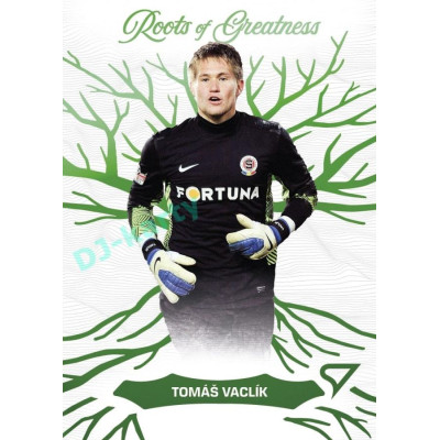 2024/25 Sportzoo Chance Liga 1. série #RG-14 Tomáš Vaclík Roots of Greatness