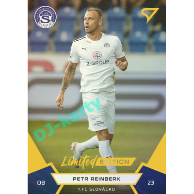 2021/22 Sportzoo Fortuna Liga 2. série #201 Petr Reinberk Gold xx/99