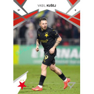 2024/25 Sportzoo Chance Liga 2. série #220 Vasil Kušej