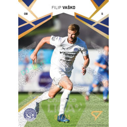 2024/25 Sportzoo Chance Liga 2. série #252 Filip Vaško Gold Glitter xx/25