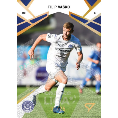 2024/25 Sportzoo Chance Liga 2. série #252 Filip Vaško Gold Glitter xx/25