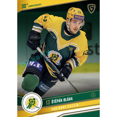 2024/25 Goal Cards Maxa liga 1. série #VSE30-05 Štěpán Bláha 30 let od finále