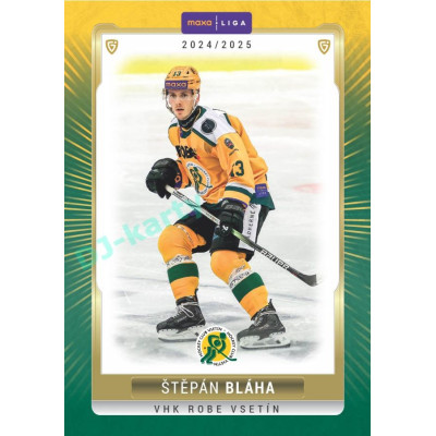 2024/25 Goal Cards Maxa liga 1. série #VSE-23 Štěpán Bláha Parallel 1of40