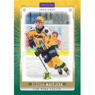2024/25 Goal Cards Maxa liga 1. série #VSE-19 Štěpán Matějček Parallel 1of40