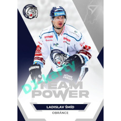 2021/22 Sportzoo TIPSPORT ELH Ladislav Šmíd #TP-04 Team Power