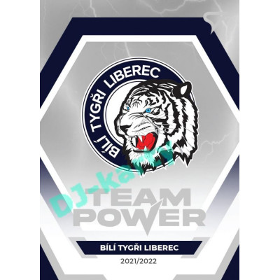 2021/22 Sportzoo TIPSPORT ELH Bílí Tygři Liberec #TP-05 Team Power