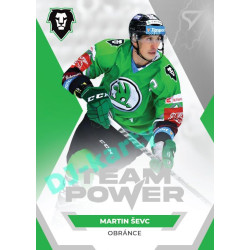 2021/22 Sportzoo TIPSPORT ELH Martin Ševc #TP-10 Team Power