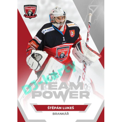 2021/22 Sportzoo TIPSPORT ELH Štěpán Lukeš #TP-13 Team Power