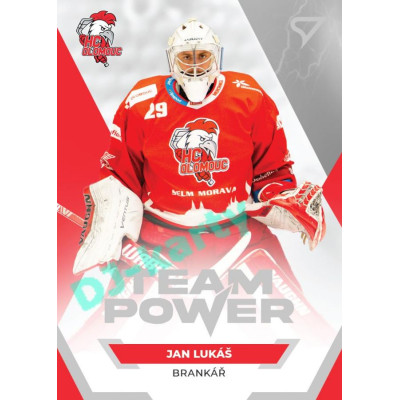 2021/22 Sportzoo TIPSPORT ELH Jan Lukáš #TP-22 Team Power