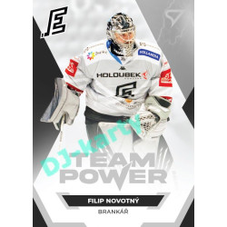 2021/22 Sportzoo TIPSPORT ELH Filip Novotný #TP-31 Team Power