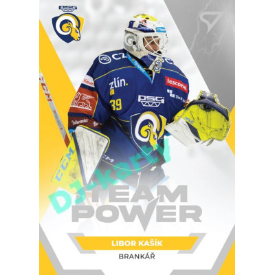2021/22 Sportzoo TIPSPORT ELH Libor Kašík #TP-37 Team Power