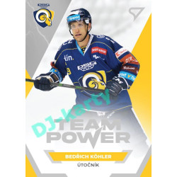 2021/22 Sportzoo TIPSPORT ELH Bedřich Köhler #TP-39 Team Power