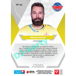 2021/22 Sportzoo TIPSPORT ELH Milan Gulaš #TP-42 Team Power