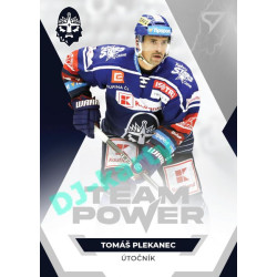 2021/22 Sportzoo TIPSPORT ELH Tomáš Plekanec #TP-43 Team Power