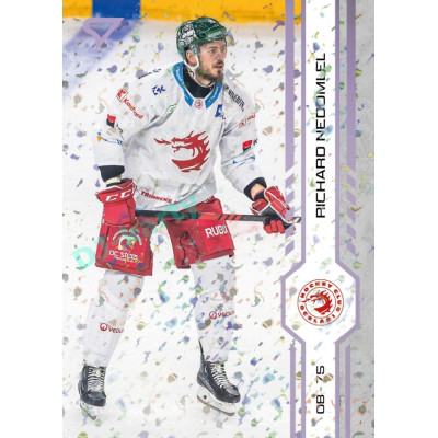 2024/25 Sportzoo ELH 1. serie #007 Richard Nedomlel Puck Marks