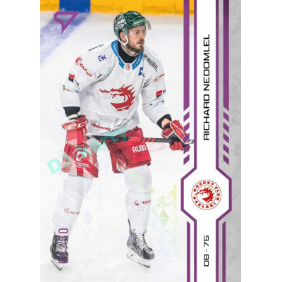 2024/25 Sportzoo ELH 1. serie #007 Richard Nedomlel Purple Iceberg xx/60