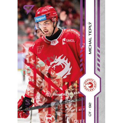 2024/25 Sportzoo ELH 1. serie #017 Michal Teplý Purple Iceberg xx/60