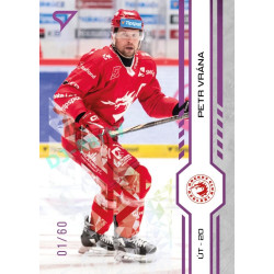 2024/25 Sportzoo ELH 1. serie #018 Petr Vrána Purple Iceberg xx/60