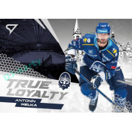 2024/25 Sportzoo ELH 1. serie #TL-26 Antonín Melka True Loyalty
