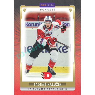 2024/25 Goal Cards Maxa liga 1. série #PCE-16 Tadeáš Kalužík Parallel 1of40