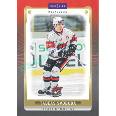 2024/25 Goal Cards Maxa liga 1. série #CHOM-16 Tadeáš Svoboda Parallel 1of15