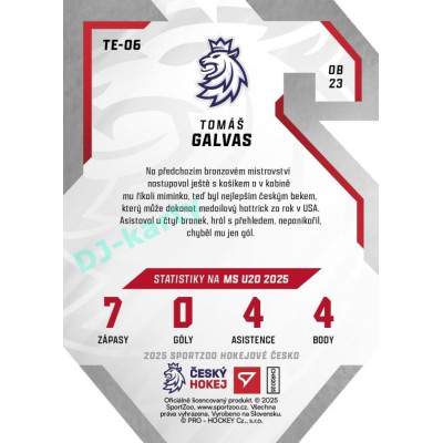 2025 Sportzoo Hokejové ČESKO #TE-06 Tomáš Galvas Team 20