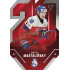 2025 Sportzoo Hokejové ČESKO #TE-17 Matěj Maštalířský Team 20