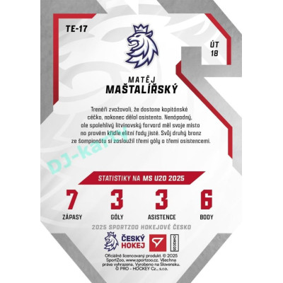 2025 Sportzoo Hokejové ČESKO #TE-17 Matěj Maštalířský Team 20