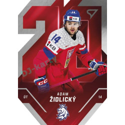 2025 Sportzoo Hokejové ČESKO #TE-24 Adam Židlický Team 20