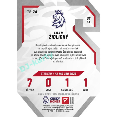 2025 Sportzoo Hokejové ČESKO #TE-24 Adam Židlický Team 20