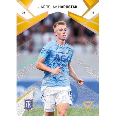2024/25 Sportzoo Chance Liga 2. série #272 Jaroslav Harušťák Gold Glitter xx/25