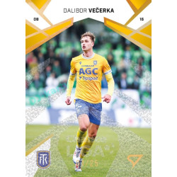 2024/25 Sportzoo Chance Liga 2. série #275 Dalibor Večerka Gold Glitter xx/25