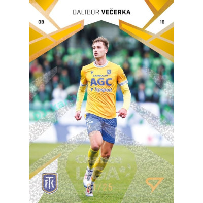 2024/25 Sportzoo Chance Liga 2. série #275 Dalibor Večerka Gold Glitter xx/25