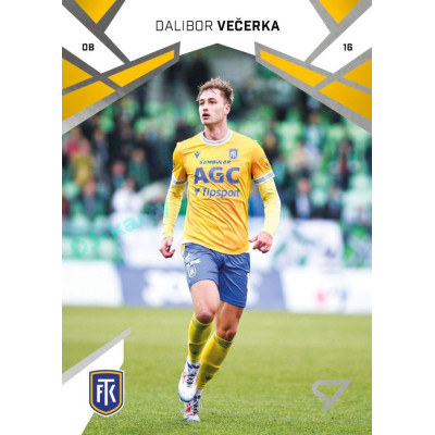 2024/25 Sportzoo Chance Liga 2. série #275 Dalibor Večerka