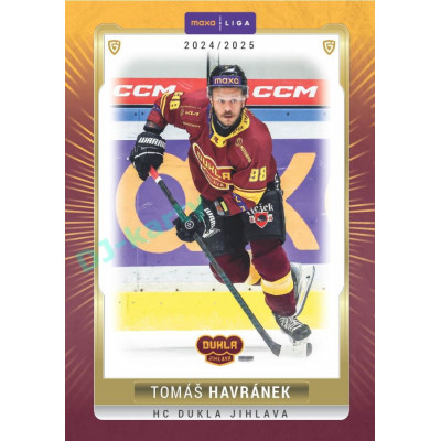 2024/25 Goal Cards Maxa liga 1. série #JIH-16 Tomáš Havránek Parallel 1of40
