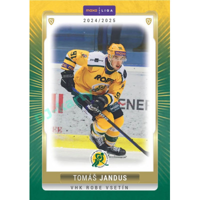 2024/25 Goal Cards Maxa liga 1. série #VSE-17 Tomáš Jandus Parallel 1of15