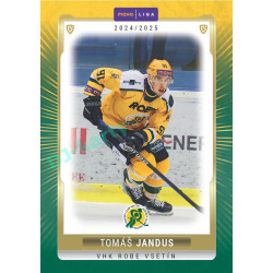 2024/25 Goal Cards Maxa liga 1. série #VSE-17 Tomáš Jandus Parallel 1of40