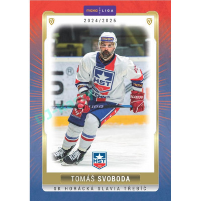 2024/25 Goal Cards Maxa liga 1. série #TRE-12 Tomáš Svoboda Parallel 1of40