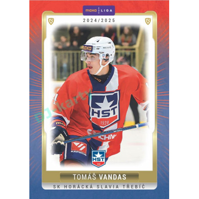 2024/25 Goal Cards Maxa liga 1. série #TRE-11 Tomáš Vandas Parallel 1of15