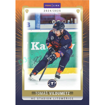 2024/25 Goal Cards Maxa liga 1. série #LIT-14 Tomáš Vildumetz Parallel 1of40