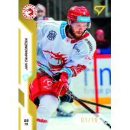 2022/23 Sportzoo ELH 2. série #253 Jan Zahradníček Gold xx/19