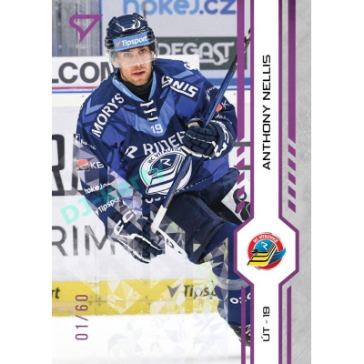 2024/25 Sportzoo ELH 1. serie #161 Anthony Nellis Purple Iceberg xx/60